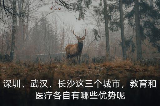 深圳、武漢、長沙這三個城市，教育和醫療各自有哪些優勢呢