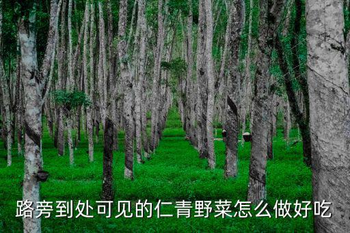 路旁到處可見的仁青野菜怎么做好吃