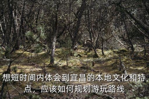 想短時間內(nèi)體會到宜昌的本地文化和特點，應(yīng)該如何規(guī)劃游玩路線