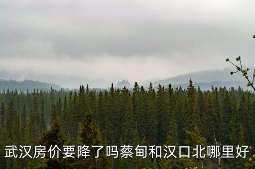 武漢蔡甸武湖怎么選,武漢武湖和漢口北哪個(gè)地段好