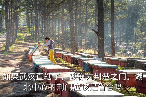 如果武漢直轄了，被稱為荊楚之門，湖北中心的荊門應該是省會嗎