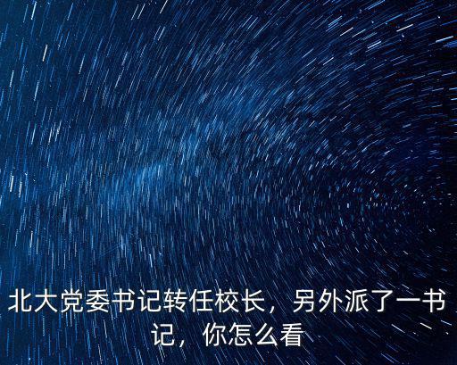 湖北大學校長和黨委書記怎么了,北大黨委書記轉任校長