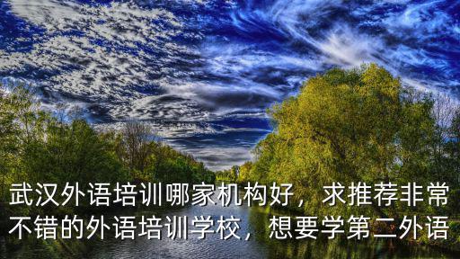 武漢外語培訓哪家機構好，求推薦非常不錯的外語培訓學校，想要學第二外語