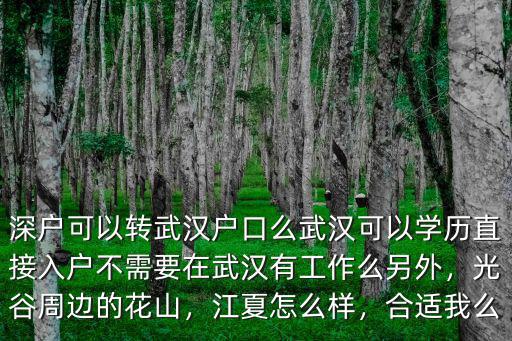 深戶可以轉武漢戶口么武漢可以學歷直接入戶不需要在武漢有工作么另外，光谷周邊的花山，江夏怎么樣，合適我么