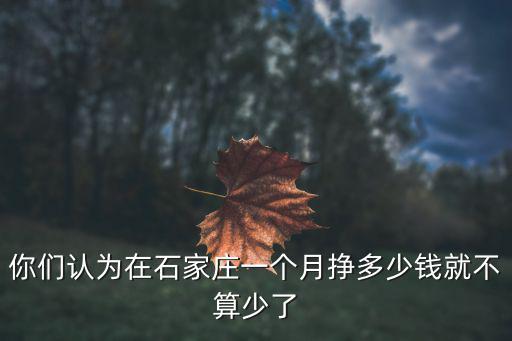 你們認為在石家莊一個月掙多少錢就不算少了