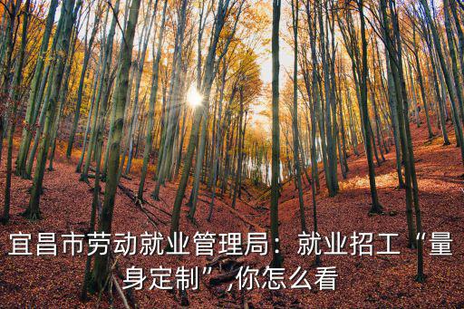 宜昌市勞動就業管理局：就業招工“量身定制”,你怎么看