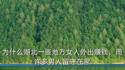 為什么湖北一些地方女人外出賺錢，而許多男人留守在家