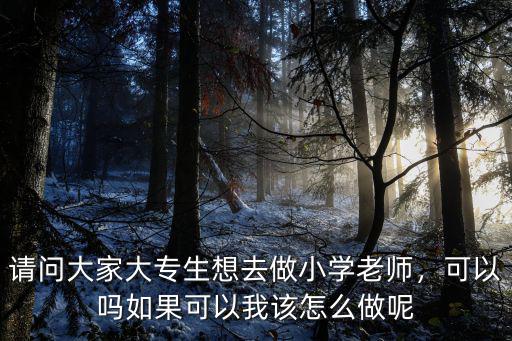 請問大家大專生想去做小學老師，可以嗎如果可以我該怎么做呢