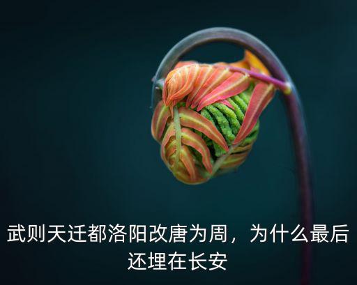 武則天的洛陽(yáng)宮在哪里,武則天遷都洛陽(yáng)改唐為周