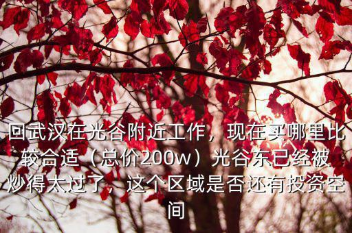 回武漢在光谷附近工作，現在買哪里比較合適（總價200w）光谷東已經被炒得太過了，這個區域是否還有投資空間