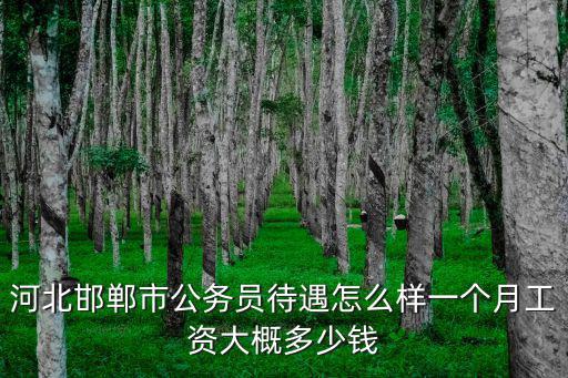 河北邯鄲市公務員待遇怎么樣一個月工資大概多少錢