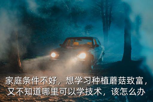 家庭條件不好，想學習種植蘑菇致富，又不知道哪里可以學技術，該怎么辦