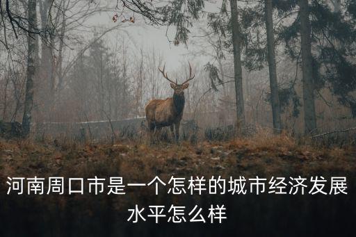 河南周口市是一個怎樣的城市經(jīng)濟發(fā)展水平怎么樣