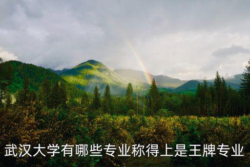 武漢大學有哪些專業稱得上是王牌專業