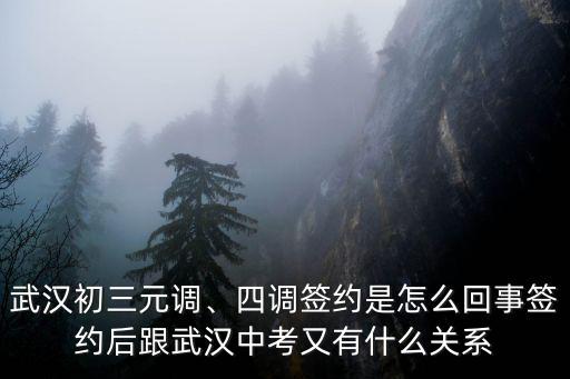 武漢元調失利了怎么辦,武漢為何那么重要