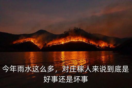 今年雨水這么多，對莊稼人來說到底是好事還是壞事