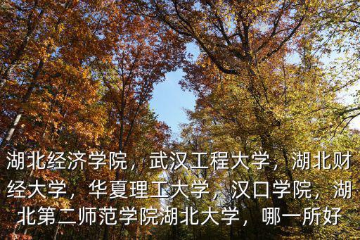 湖北經濟學院，武漢工程大學，湖北財經大學，華夏理工大學，漢口學院，湖北第二師范學院湖北大學，哪一所好