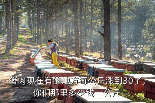 滄州多少錢一公斤,現在廢鋼多少錢一公斤