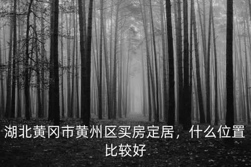黃岡市黃州區招商局怎么樣,湖北黃岡市黃州區買房定居