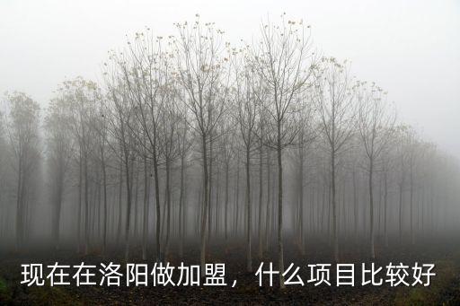 現(xiàn)在在洛陽做加盟，什么項目比較好