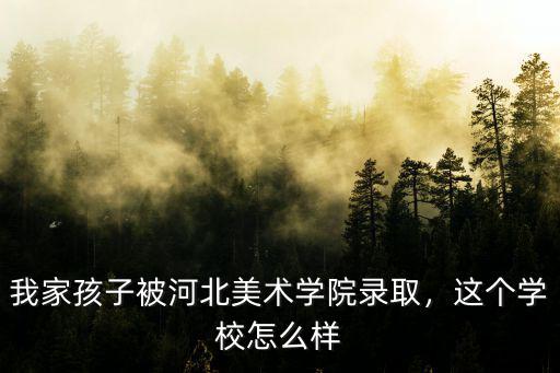 考河北美術學院要多少分,河北美術聯考249分