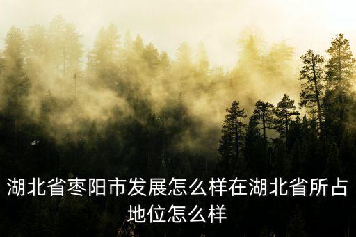 湖北省棗陽市發展怎么樣在湖北省所占地位怎么樣
