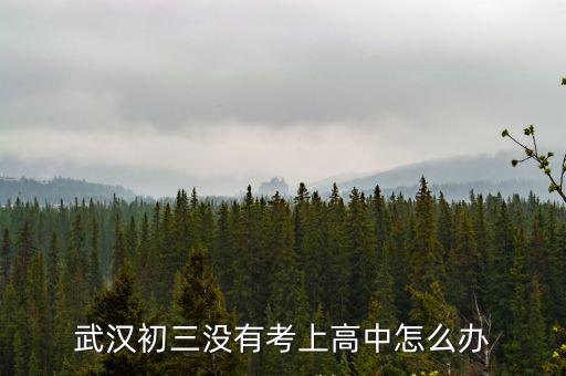 武漢初三沒有考上高中怎么辦