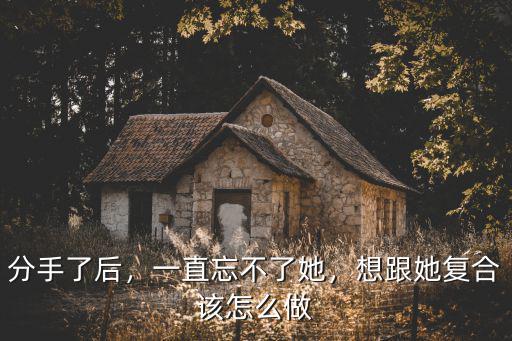 分手了后，一直忘不了她，想跟她復合該怎么做