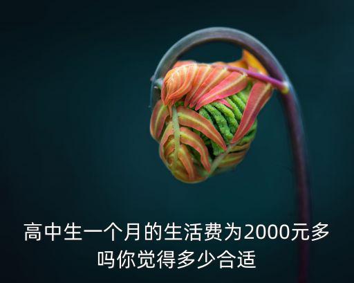 張家口高中生一個月生活費多少,高中男生一個月生活費是多少