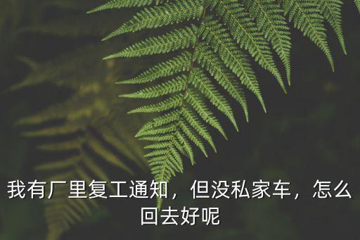 湖北北京復(fù)工專列怎么申請(qǐng),湖北返工專車專列感覺那么多