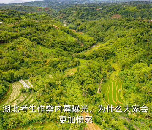 湖北考生作弊內幕曝光，為什么大家會更加憤怒