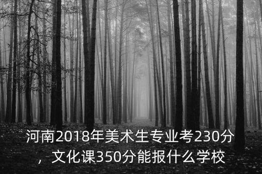 河南2018年美術生專業考230分，文化課350分能報什么學校