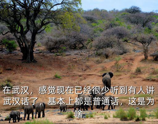 在武漢，感覺(jué)現(xiàn)在已經(jīng)很少聽(tīng)到有人講武漢話了，基本上都是普通話，這是為啥