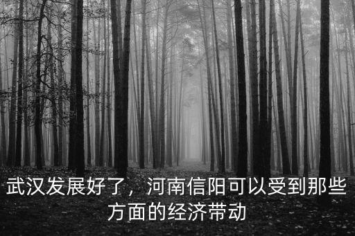 武漢發展好了，河南信陽可以受到那些方面的經濟帶動