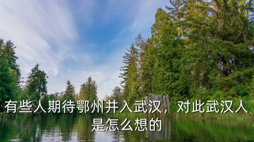 怎么沒人知道張恒是武漢人,對此武漢人是怎么想的