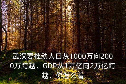 武漢要推動(dòng)人口從1000萬(wàn)向2000萬(wàn)跨越，GDP從1萬(wàn)億向2萬(wàn)億跨越，你怎么看