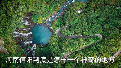 河南信陽到底是怎樣一個(gè)神奇的地方