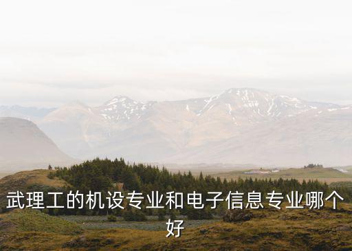 武漢理工大學的信管專業怎么樣,武漢理工大學學什么專業好
