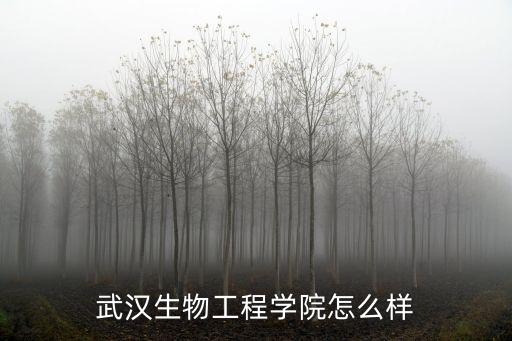 武漢生物工程學院怎么樣