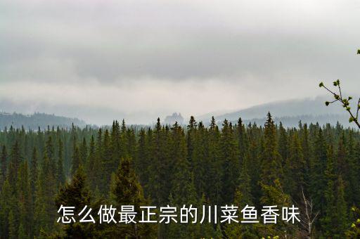 怎么做最正宗的川菜魚香味
