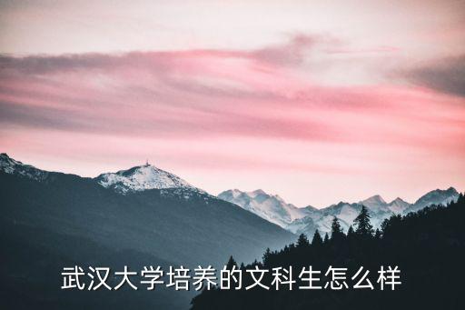 武漢大學讀文科博士怎么樣,北航的文科怎么樣