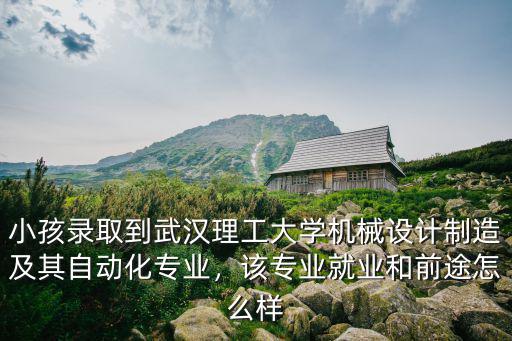 小孩錄取到武漢理工大學機械設計制造及其自動化專業，該專業就業和前途怎么樣