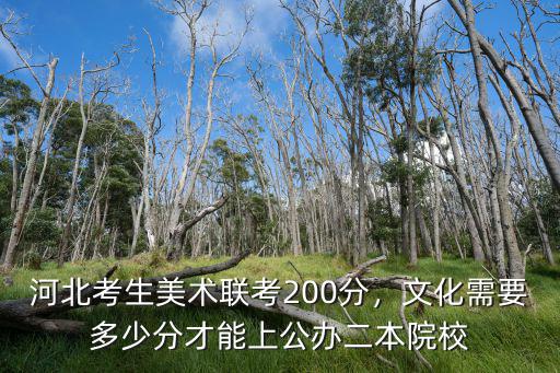 河北美術聯考多少分算好,河北美術聯考249分
