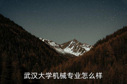 武漢大學機械專業怎么樣