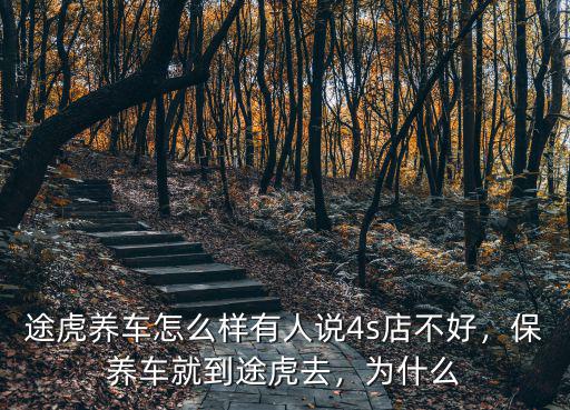 途虎養(yǎng)車(武漢雅安街店)怎么樣,途虎養(yǎng)車怎么樣