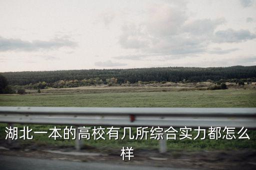 湖北一本的高校有幾所綜合實力都怎么樣