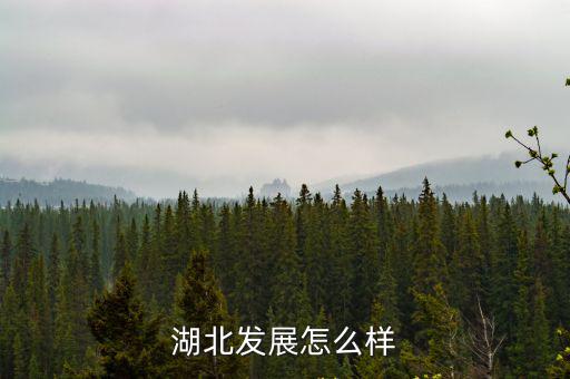 湖北發(fā)展怎么樣