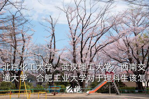 北京化工大學(xué)，武漢理工大學(xué)，西南交通大學(xué)，合肥工業(yè)大學(xué)對于理科生該怎么選
