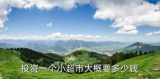 投資一個(gè)小超市大概要多少錢
