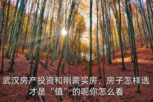 武漢剛需搖號怎么選房,武漢買房怎么選擇